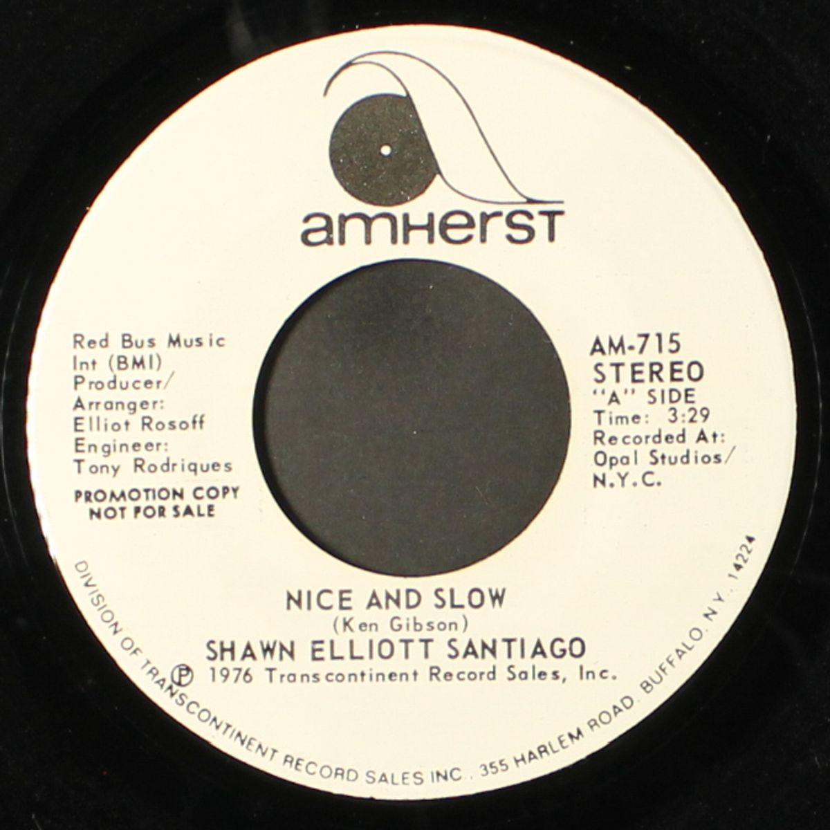 nice and slow / disco version by SHAWN ELLIOTT SANTIAGO