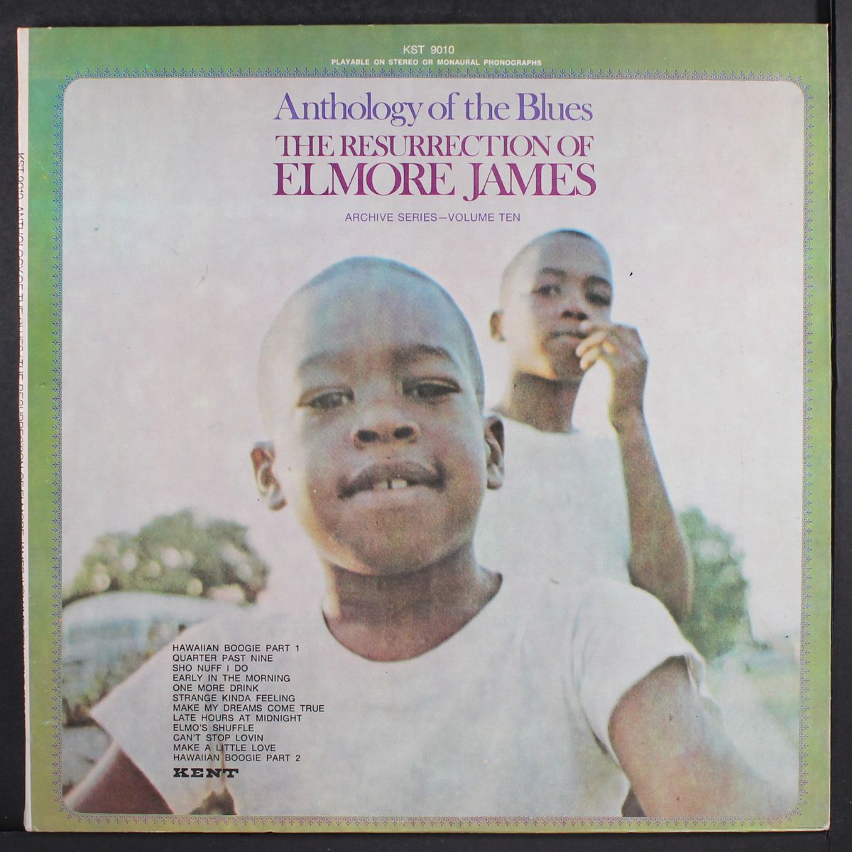 the resurrection of elmore james by ELMORE JAMES