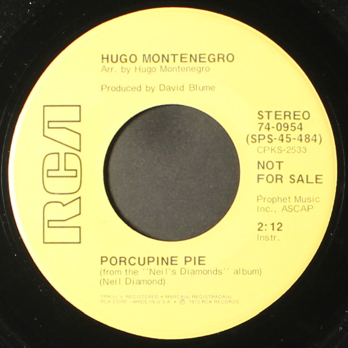 porcupine pie / mono by HUGO MONTENEGRO
