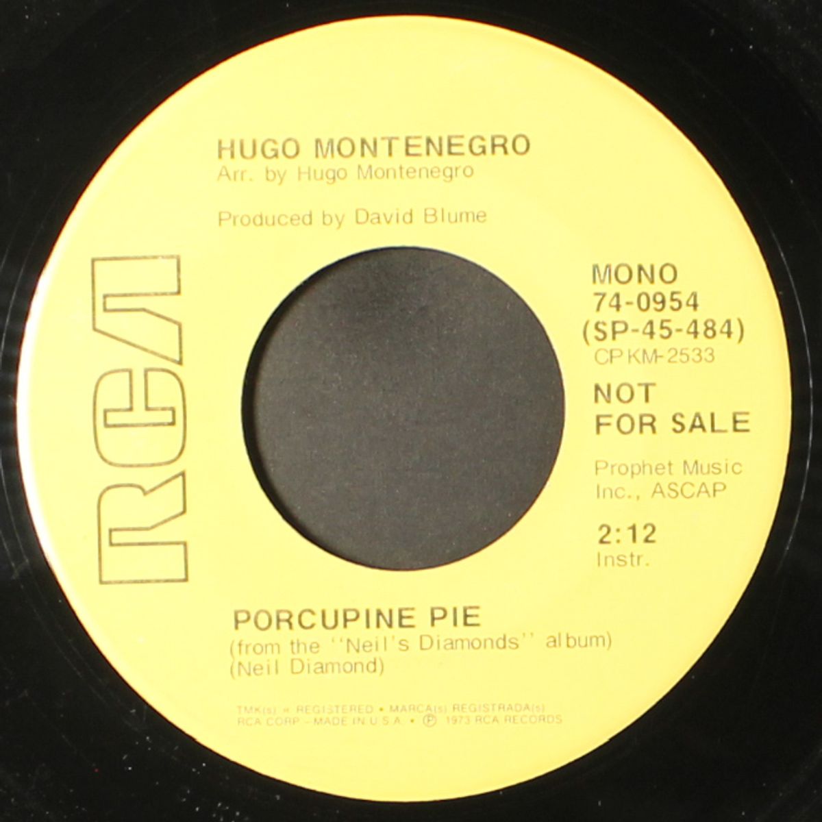 porcupine pie / mono by HUGO MONTENEGRO