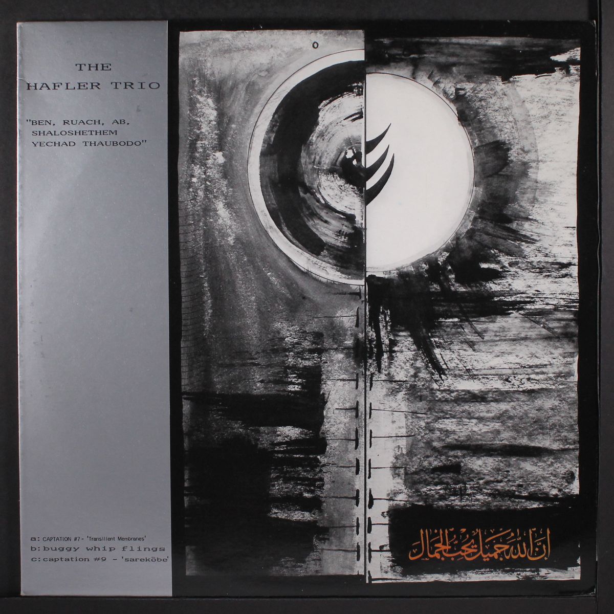 ben, ruach, ab, shaloshethem, yechad thaubodo / idrogeni superiori by HAFLER TRIO / LUCIANO DARI