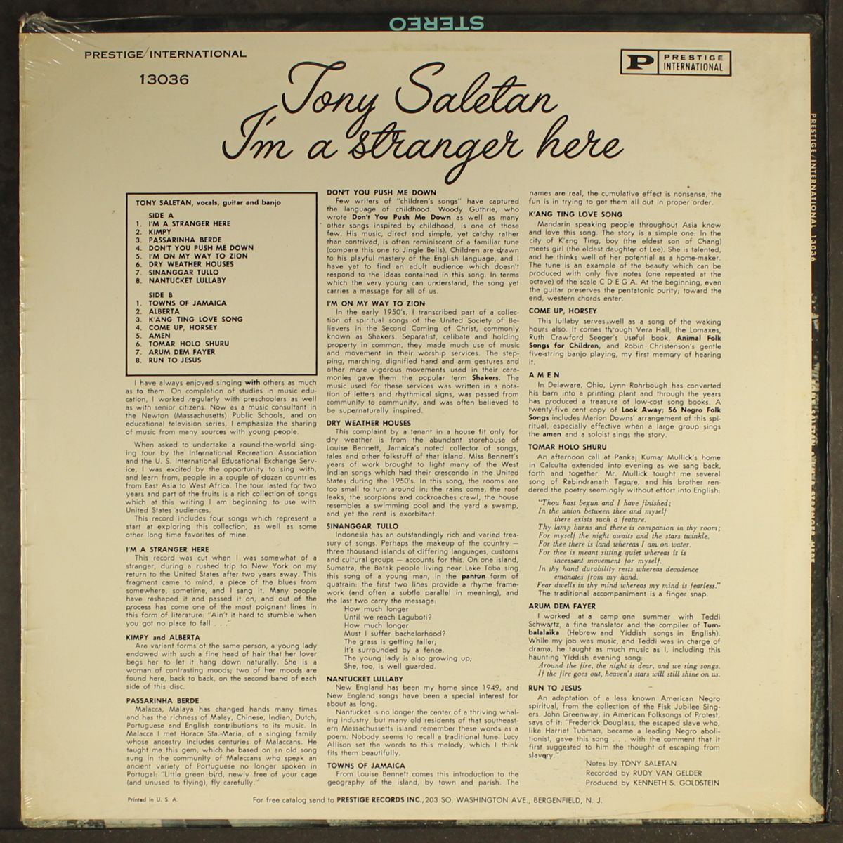 i'm a stranger here by TONY SALETAN