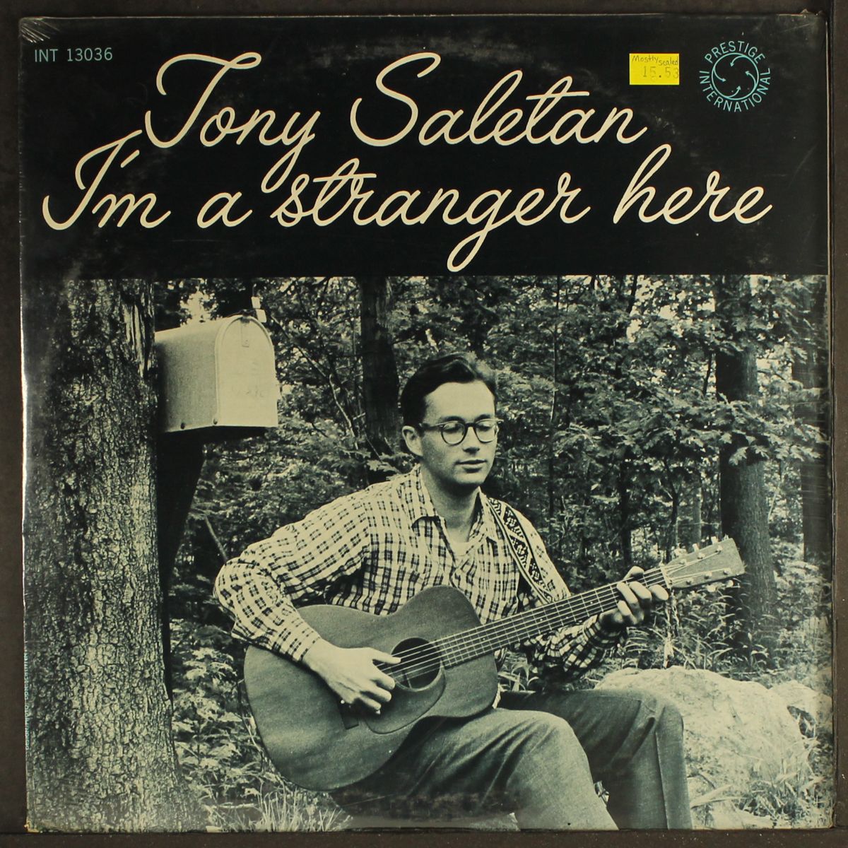 i'm a stranger here by TONY SALETAN