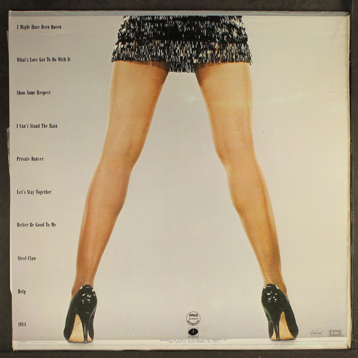 private dancer by TINA TURNER