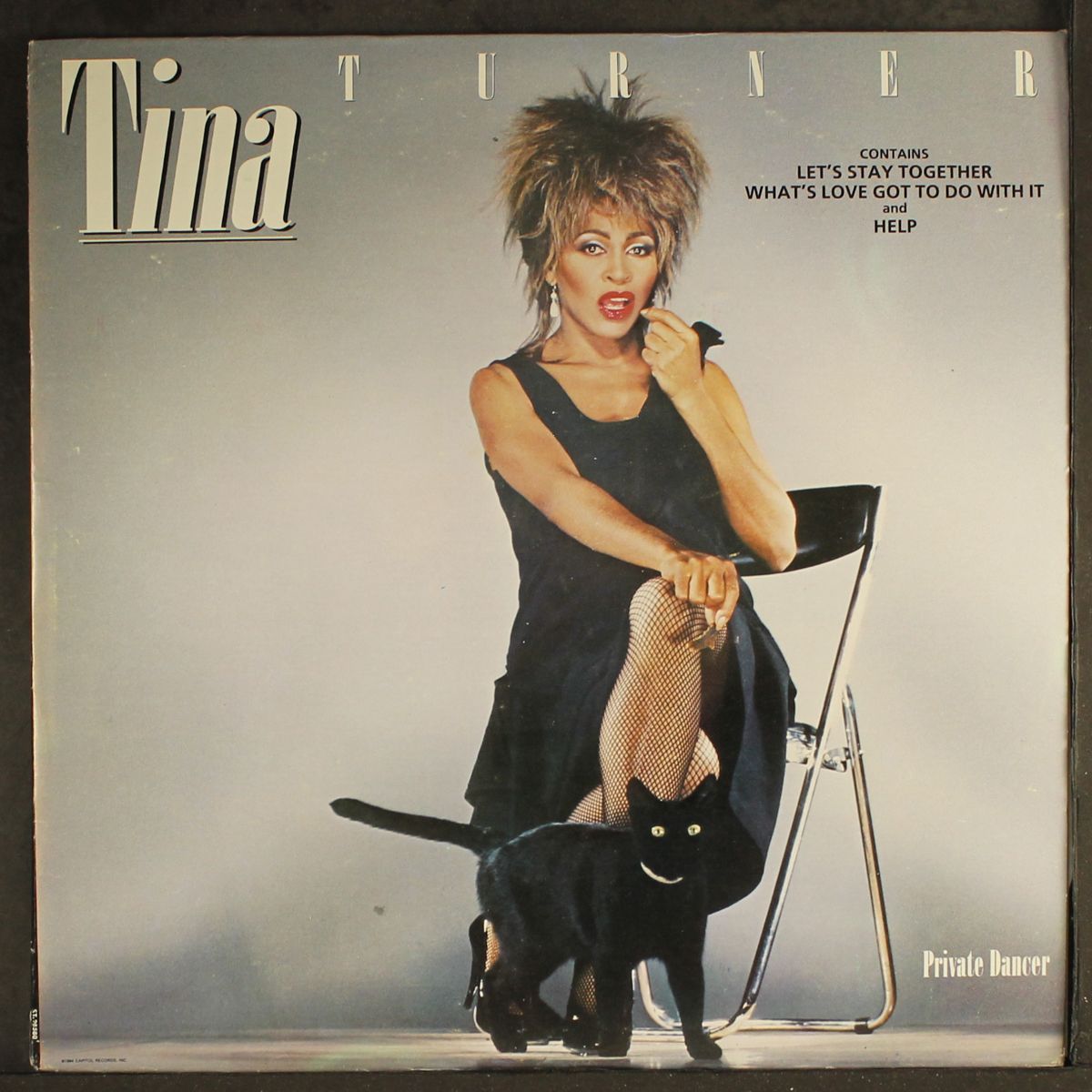 private dancer by TINA TURNER