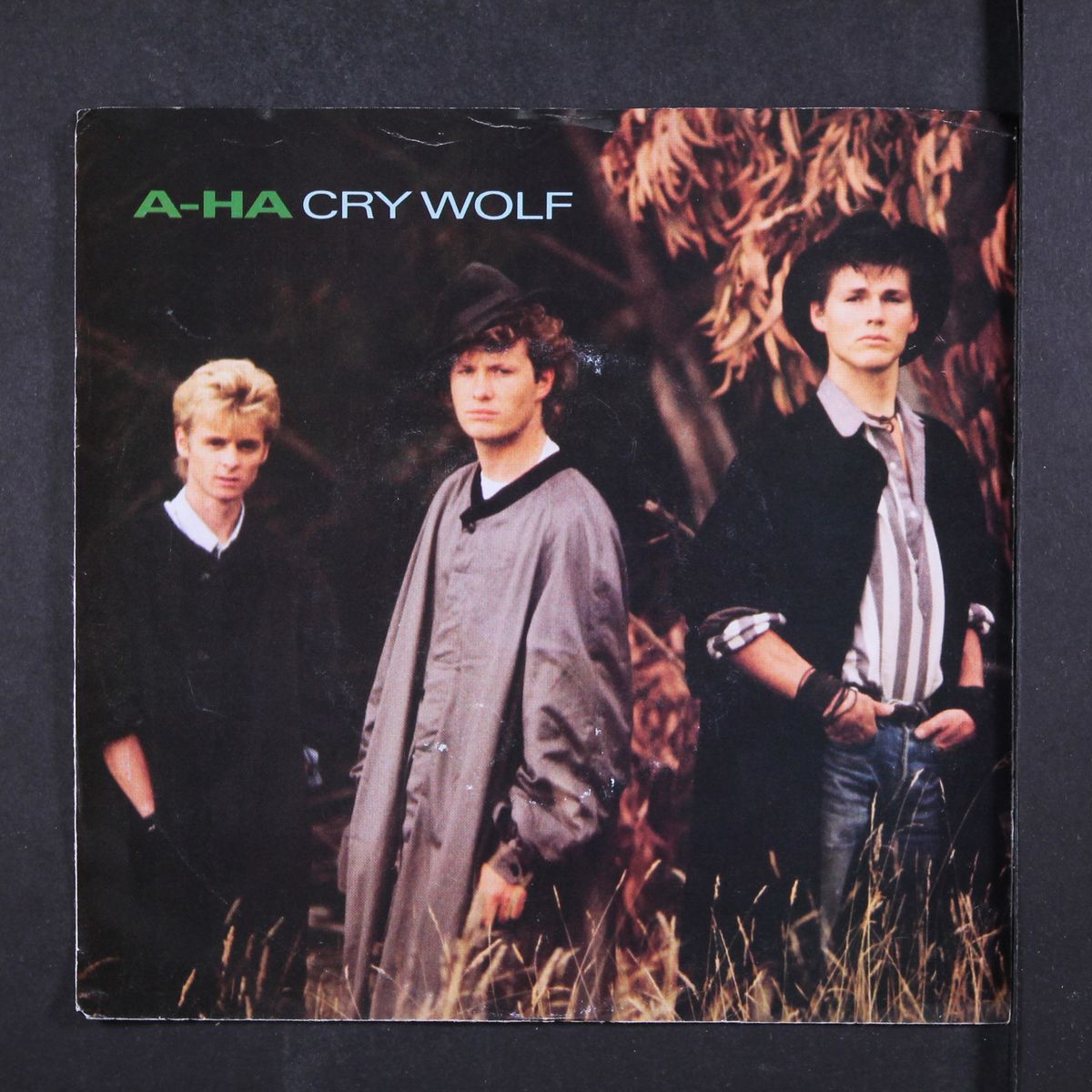 cry wolf / maybe maybe by A-HA