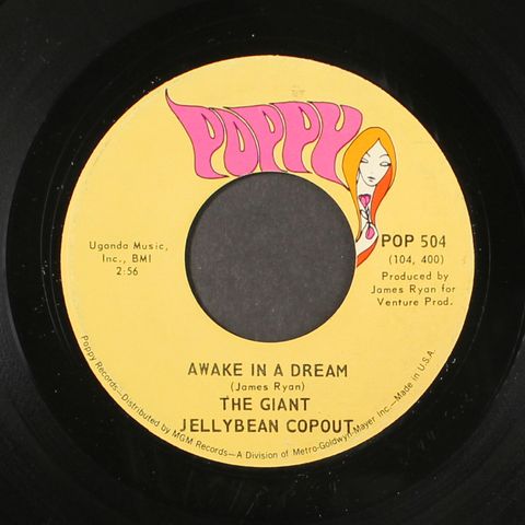 GIANT JELLYBEAN COPOUT