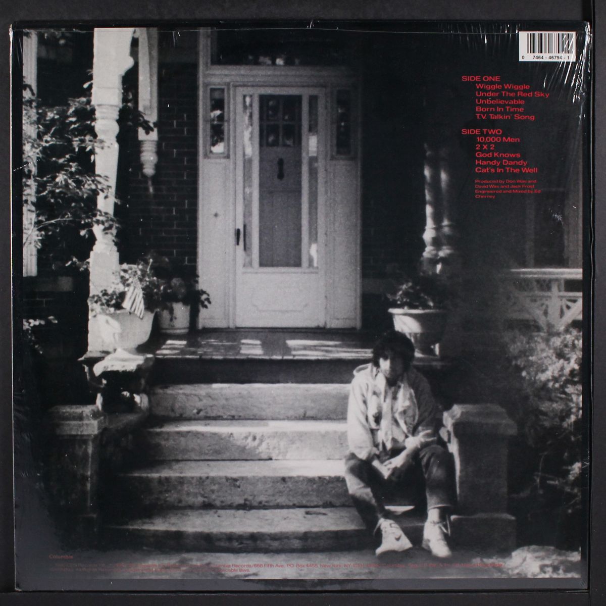 under the red sky by BOB DYLAN