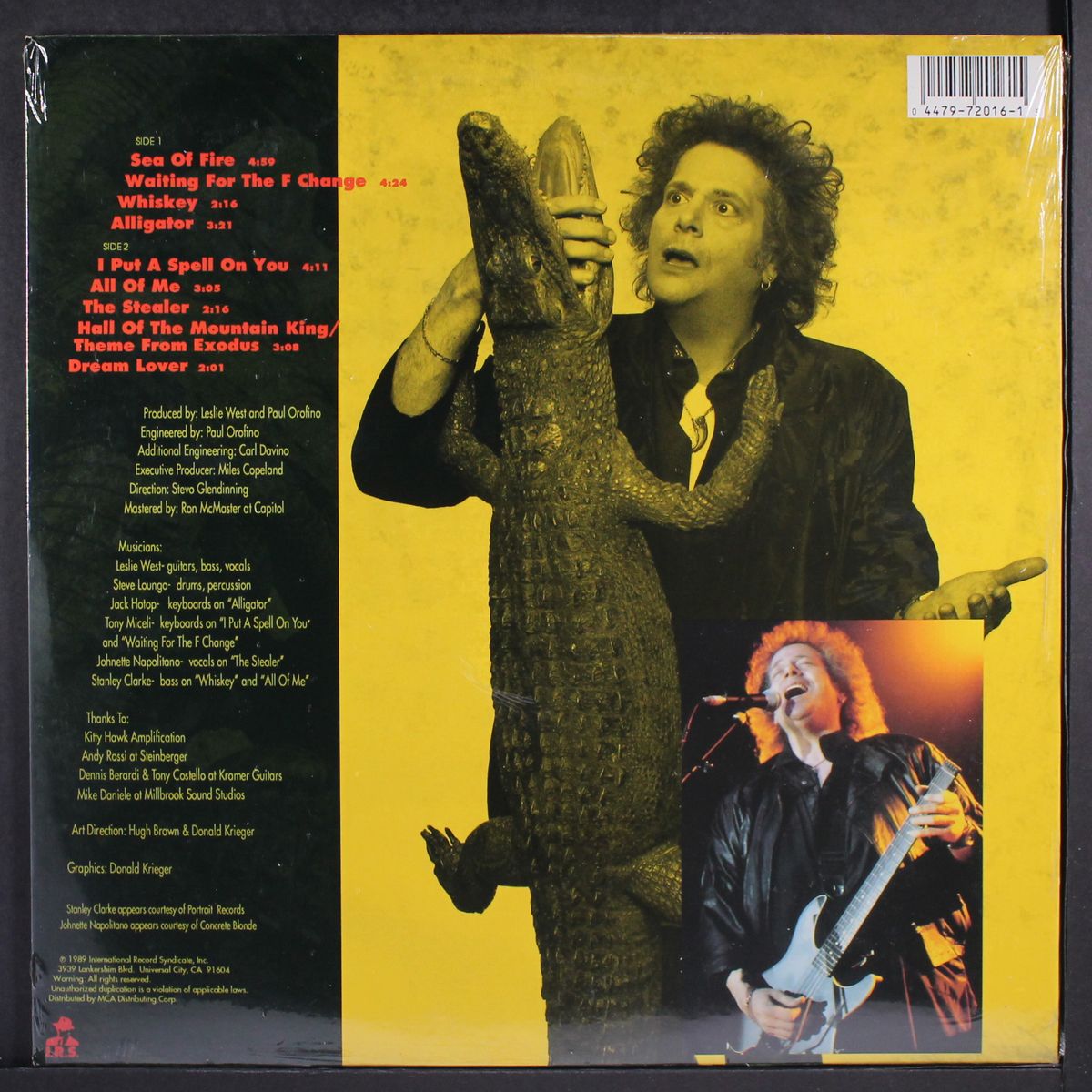 alligator by LESLIE WEST