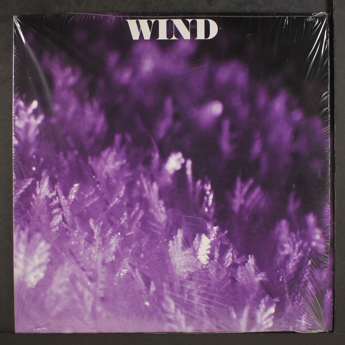 wind & friends by WIND