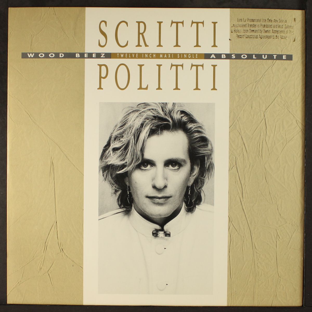 wood beez / absolute by SCRITTI POLITTI