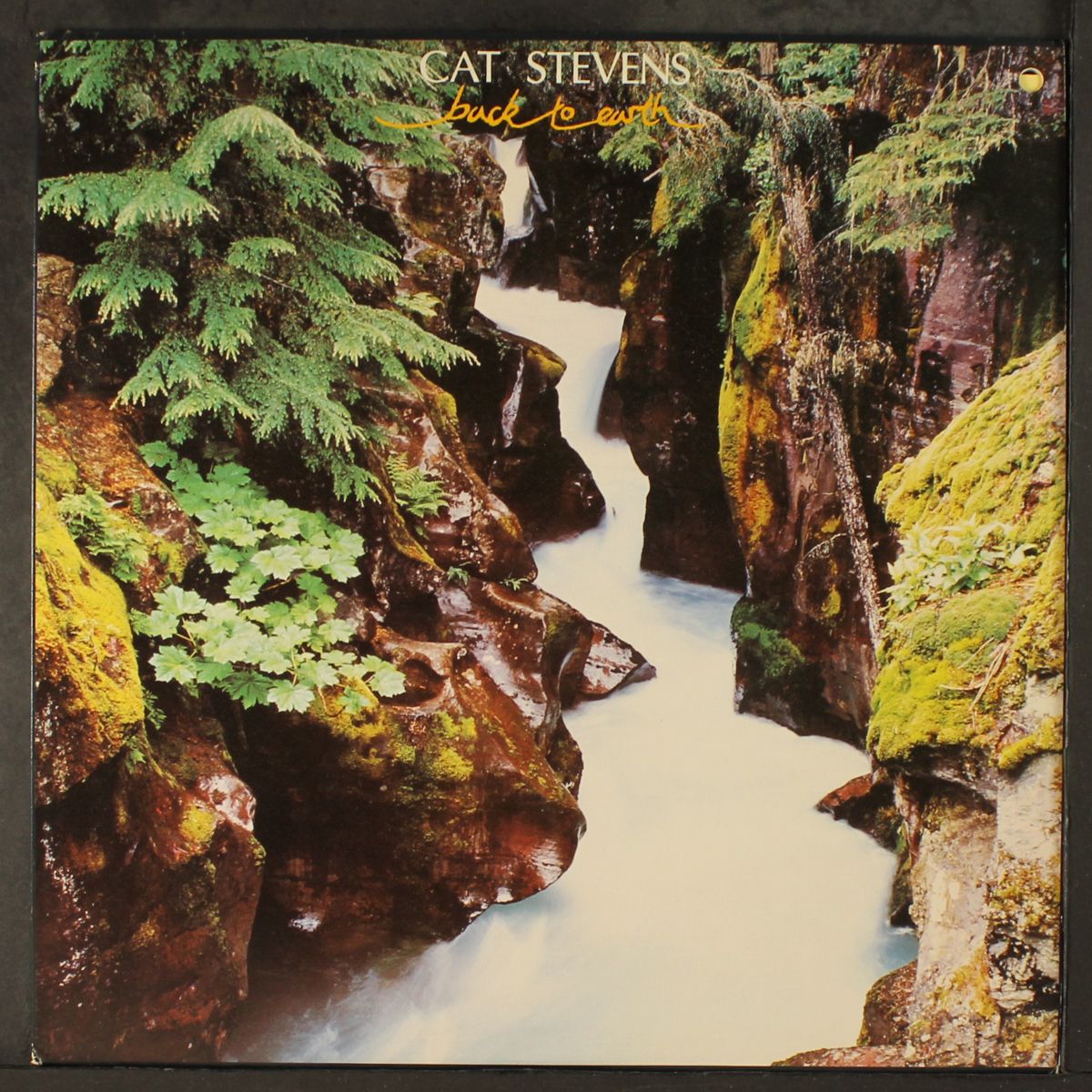 back to earth by CAT STEVENS