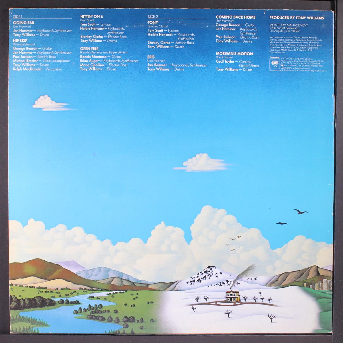 the joy of flying by TONY WILLIAMS