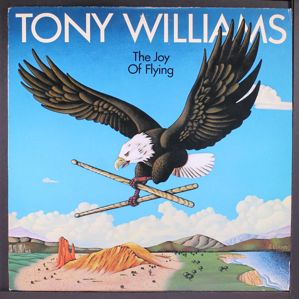 the joy of flying by TONY WILLIAMS