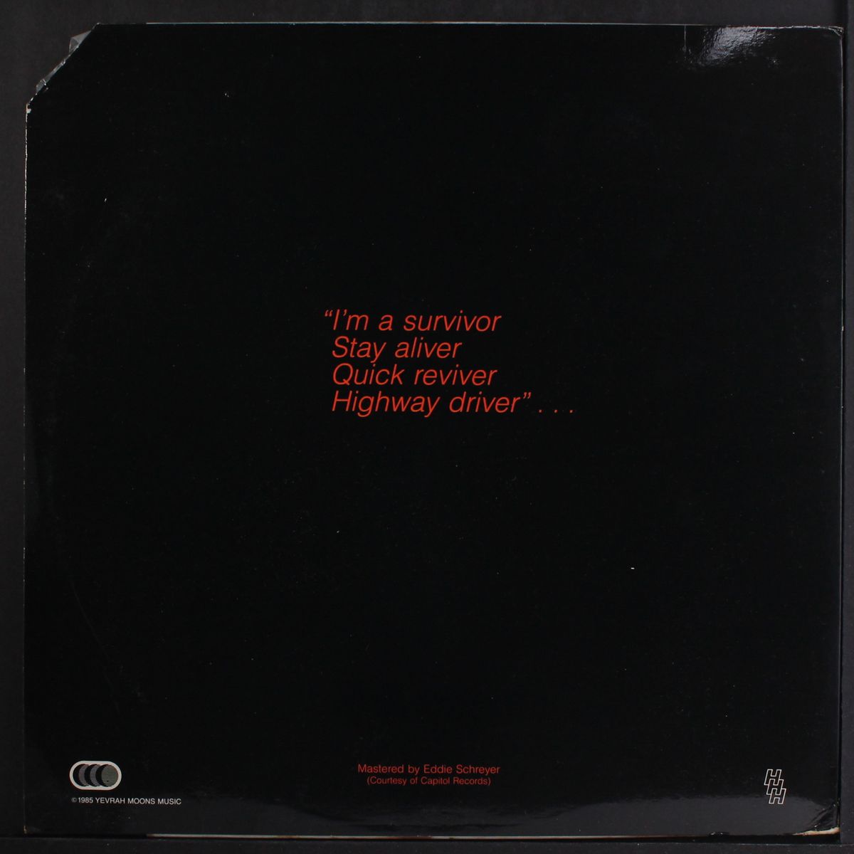 survivor by HARVEY