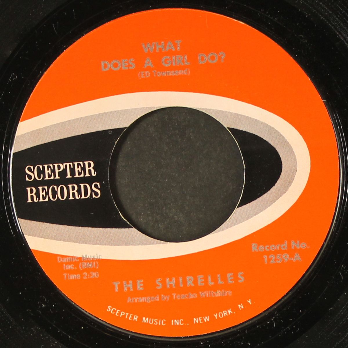 what does a girl do? / don't let it happen to us by SHIRELLES