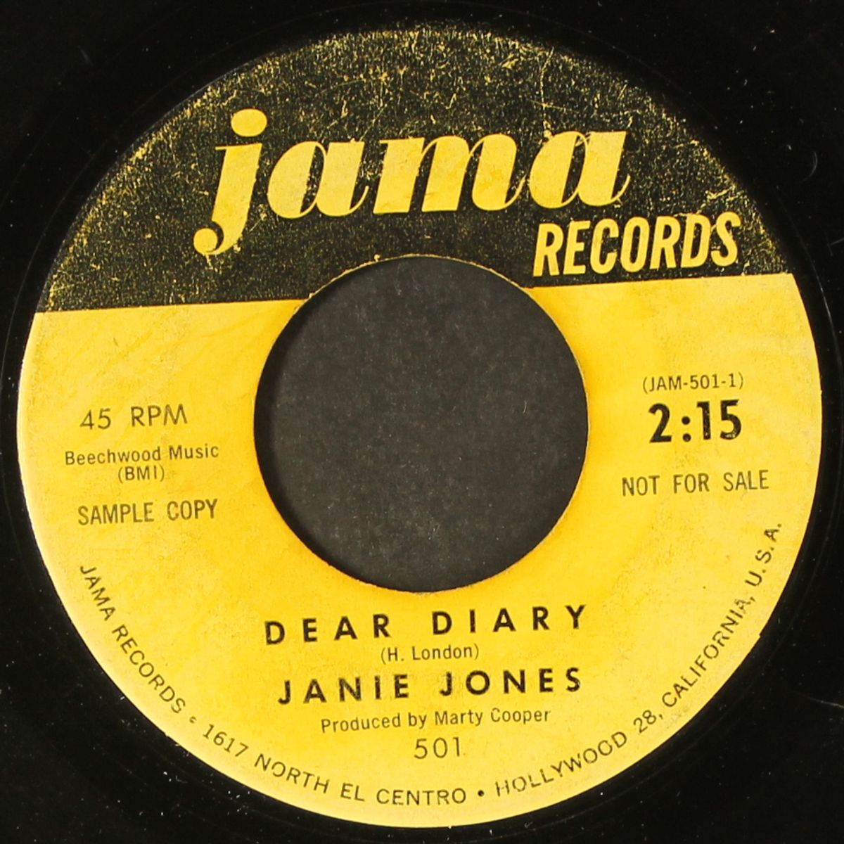 dear diary by JANIE JONES