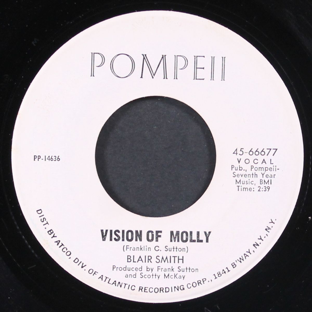 echoes / visions of molly by BLAIR SMITH