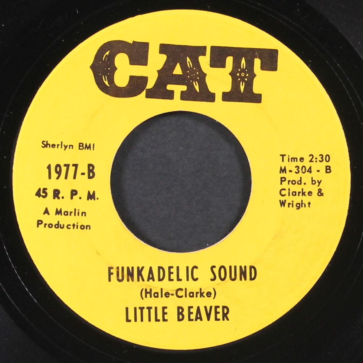joey / funkadelic sound by LITTLE BEAVER