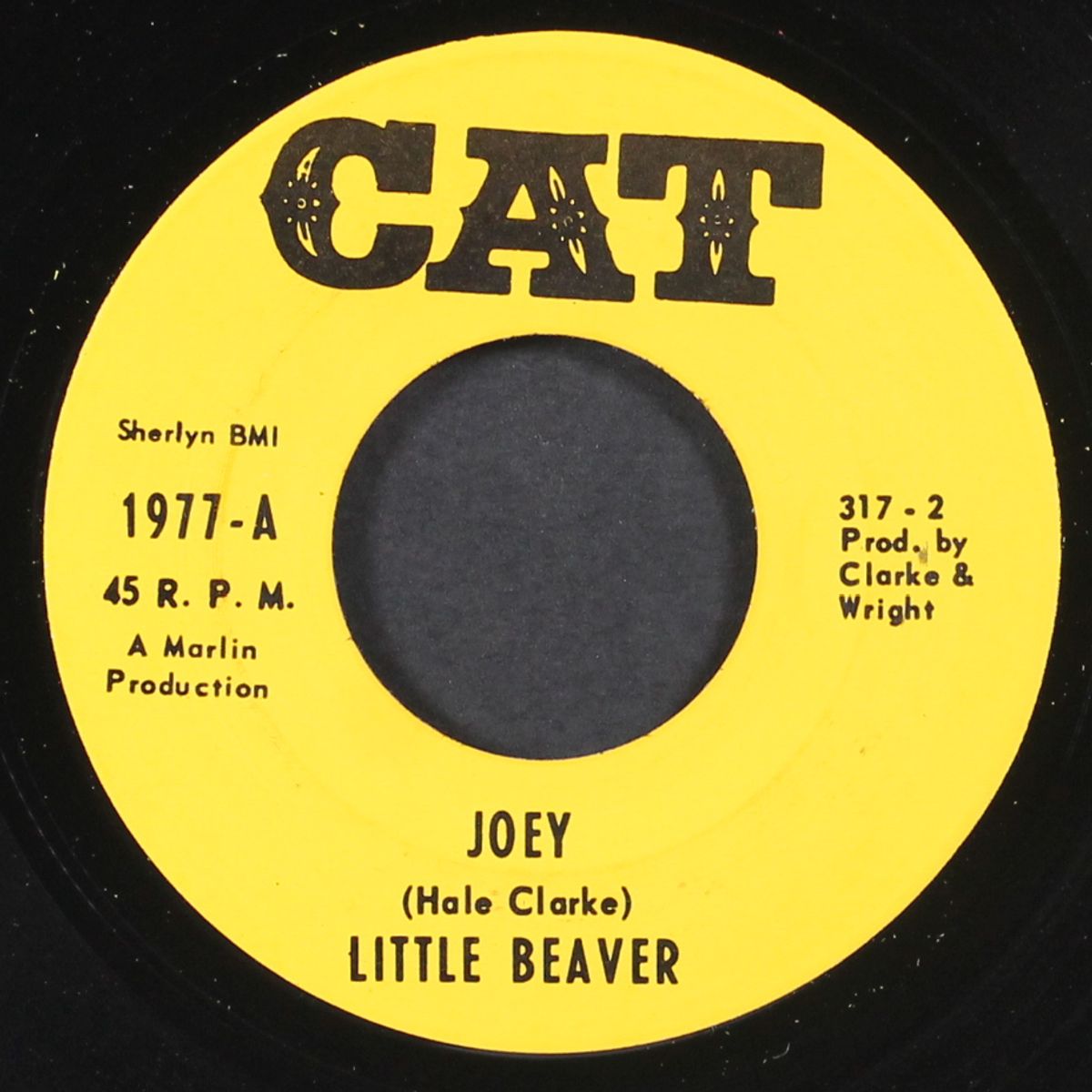 joey / funkadelic sound by LITTLE BEAVER