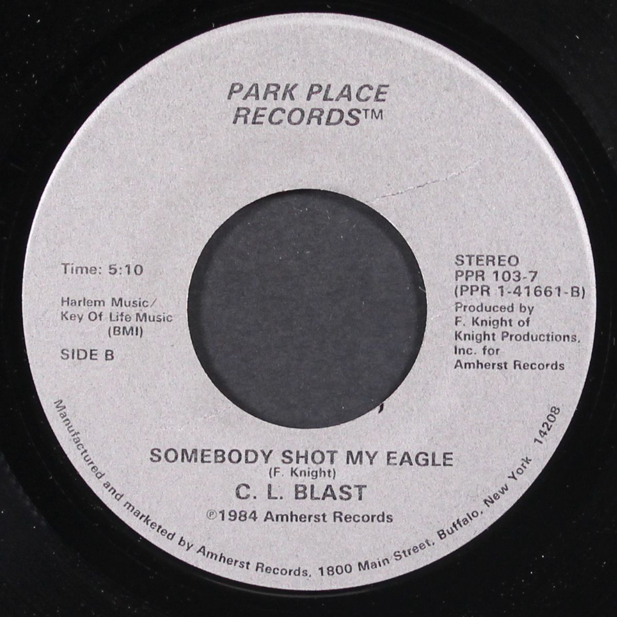 lay another log on the fire / somebody shot my eagle by C.L. BLAST