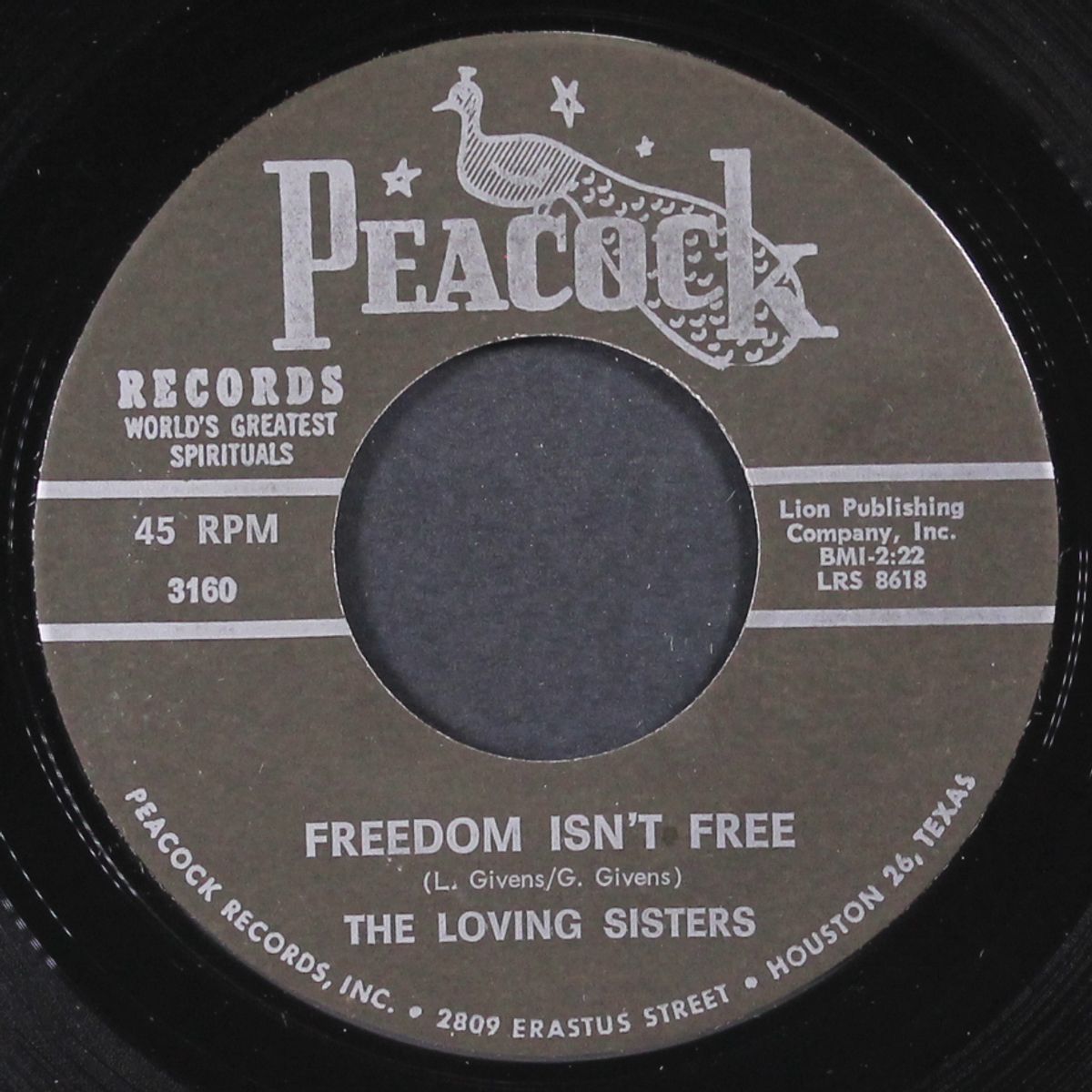 tribute to dr. king / freedom isn't free by LOVING SISTERS