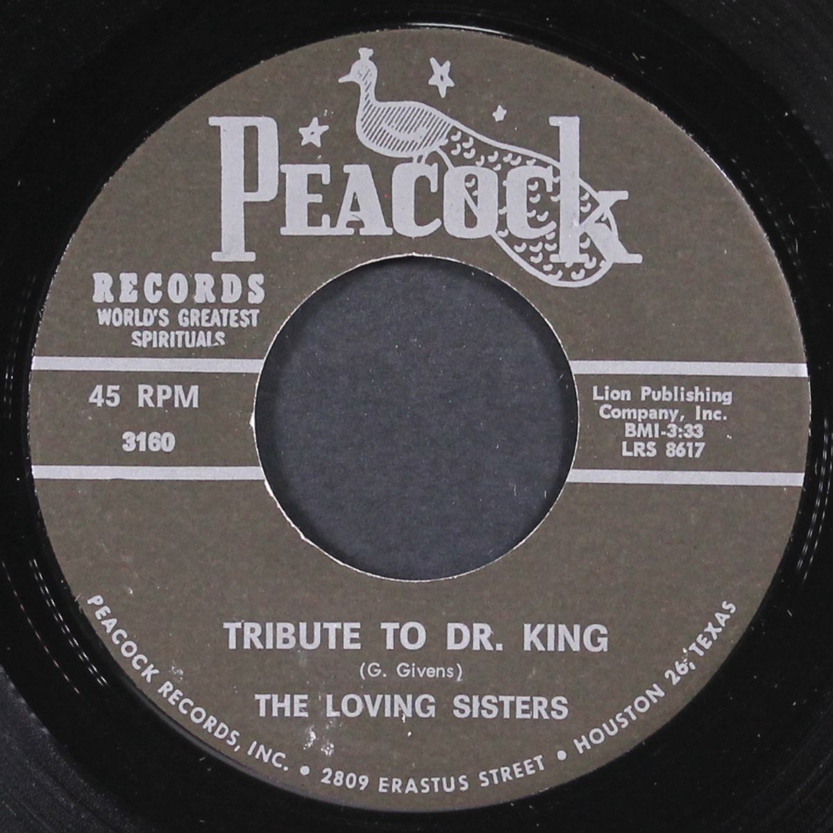 tribute to dr. king / freedom isn't free by LOVING SISTERS