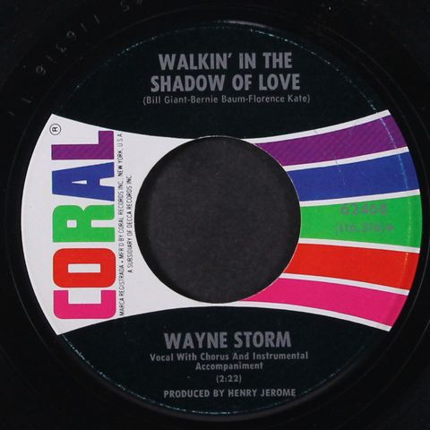 WAYNE STORM