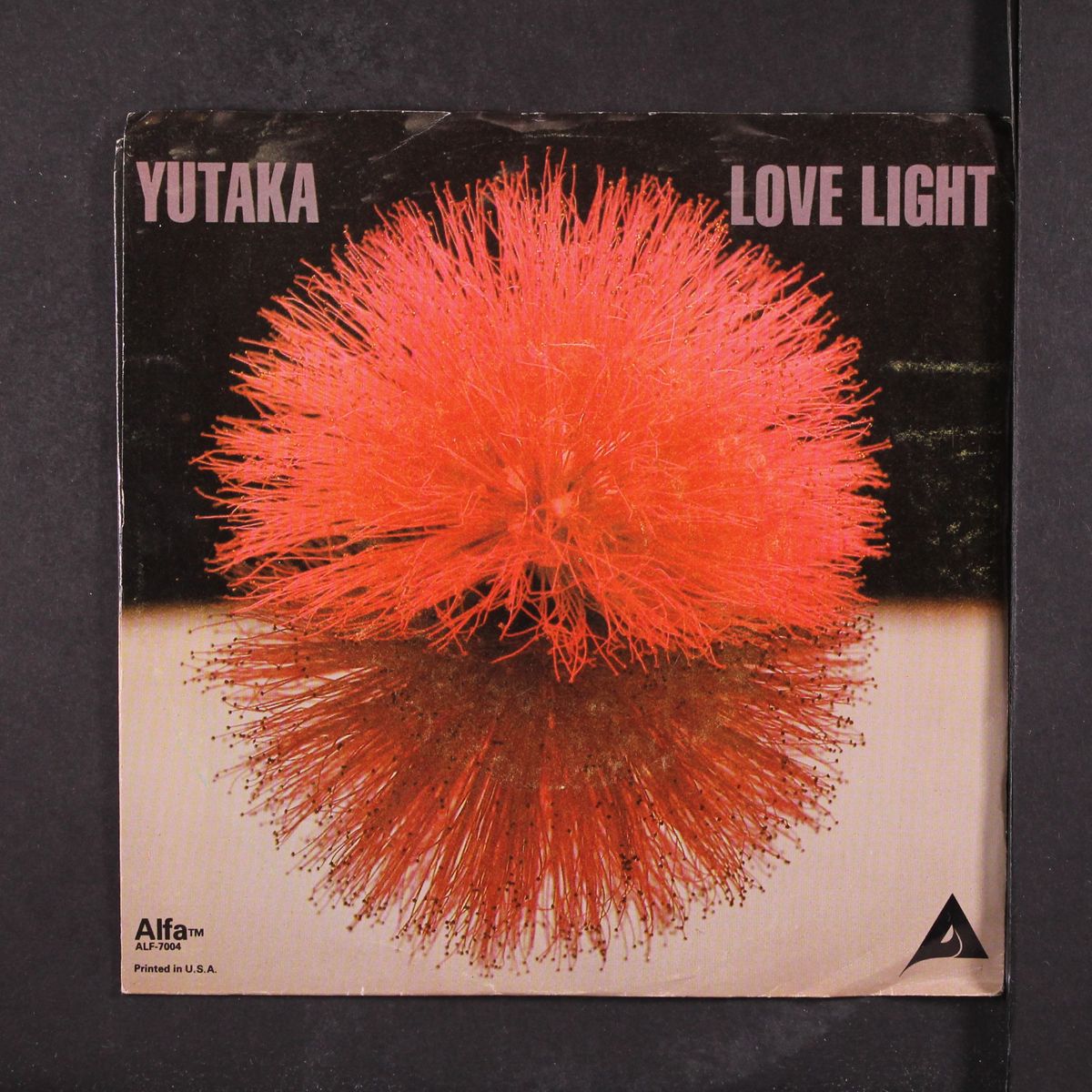 love light / evening star by YUTAKA