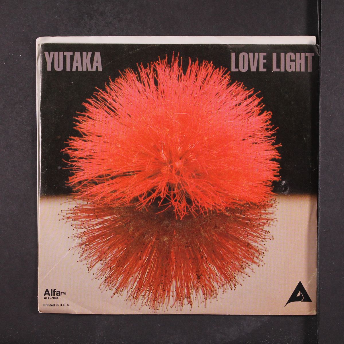love light / evening star by YUTAKA