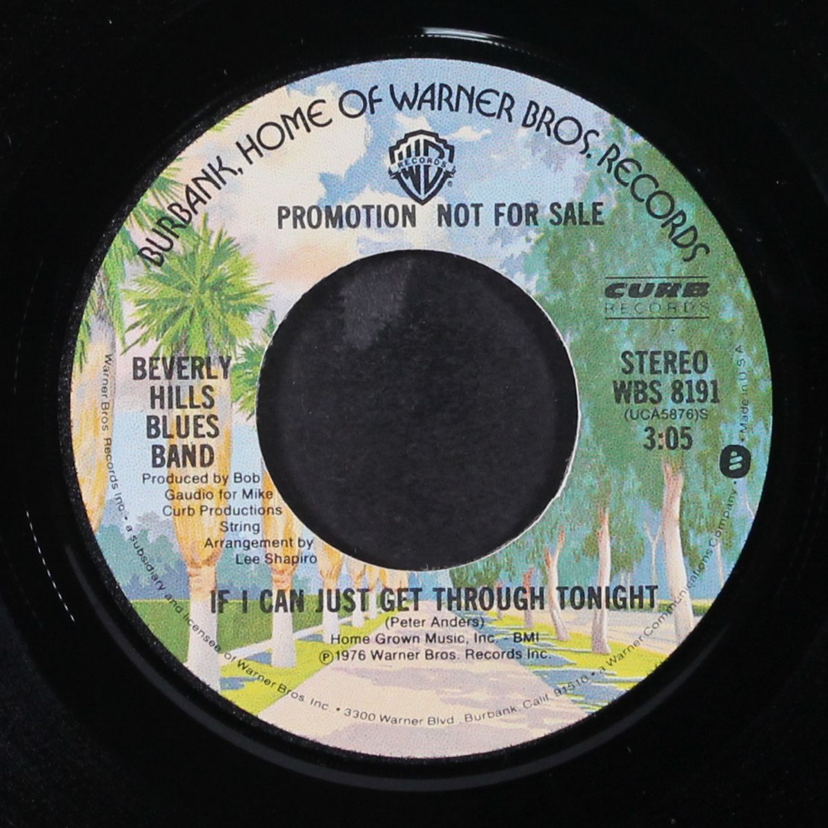 if i can just get through tonight by BEVERLY HILLS BLUES BAND