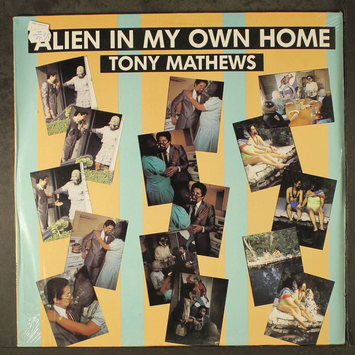 alien in my own home by TONY MATHEWS