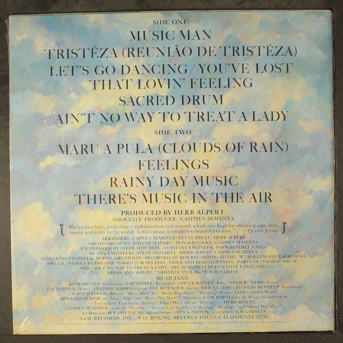 there's music in the air by LETTA MBULU
