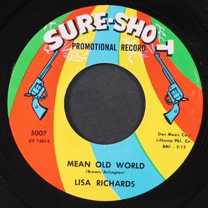 LISA RICHARDS