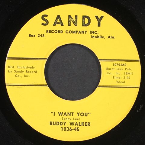 BUDDY WALKER