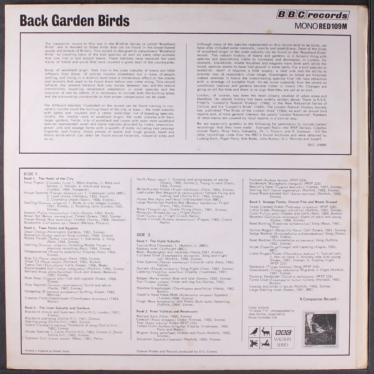 back garden birds by NO ARTIST