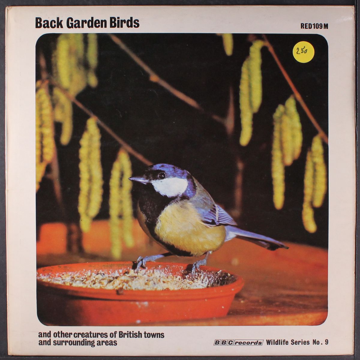 back garden birds by NO ARTIST