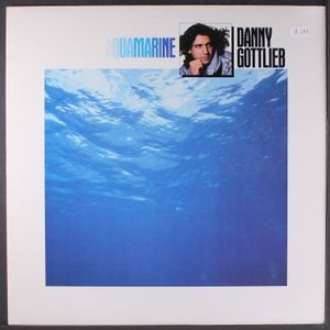DANNY GOTTLIEB