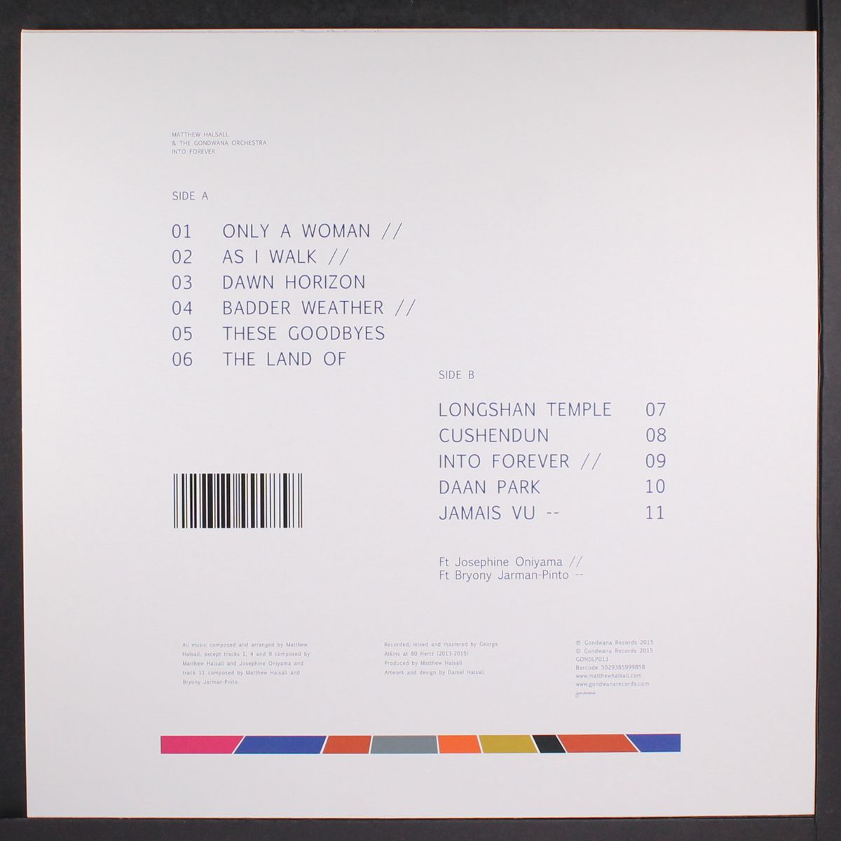 into forever by MATTHEW HALSALL & GONDWANA ORCHESTRA