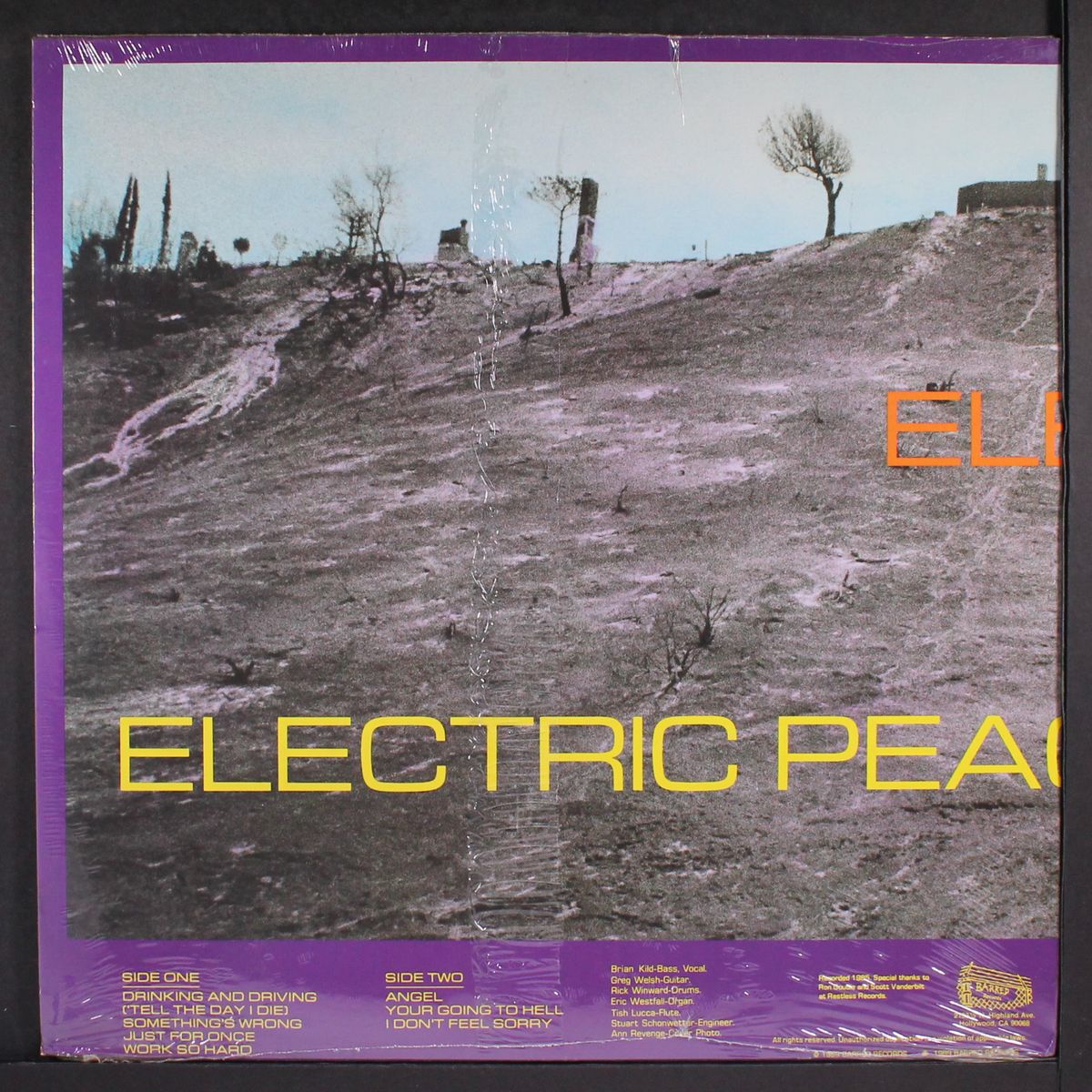 road to peace by ELECTRIC PEACE