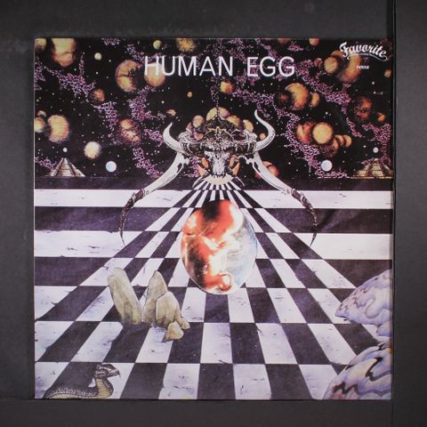 HUMAN EGG