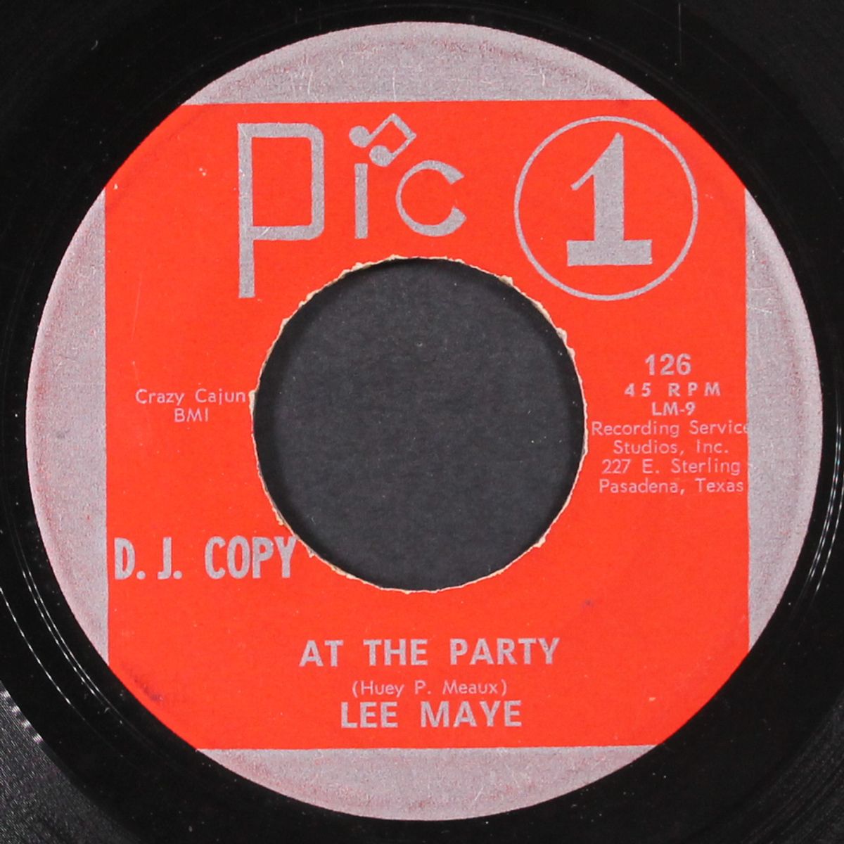 at the partys / stop the world by LEE MAYE