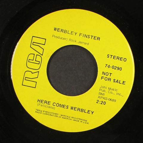 WERBLEY FINSTER