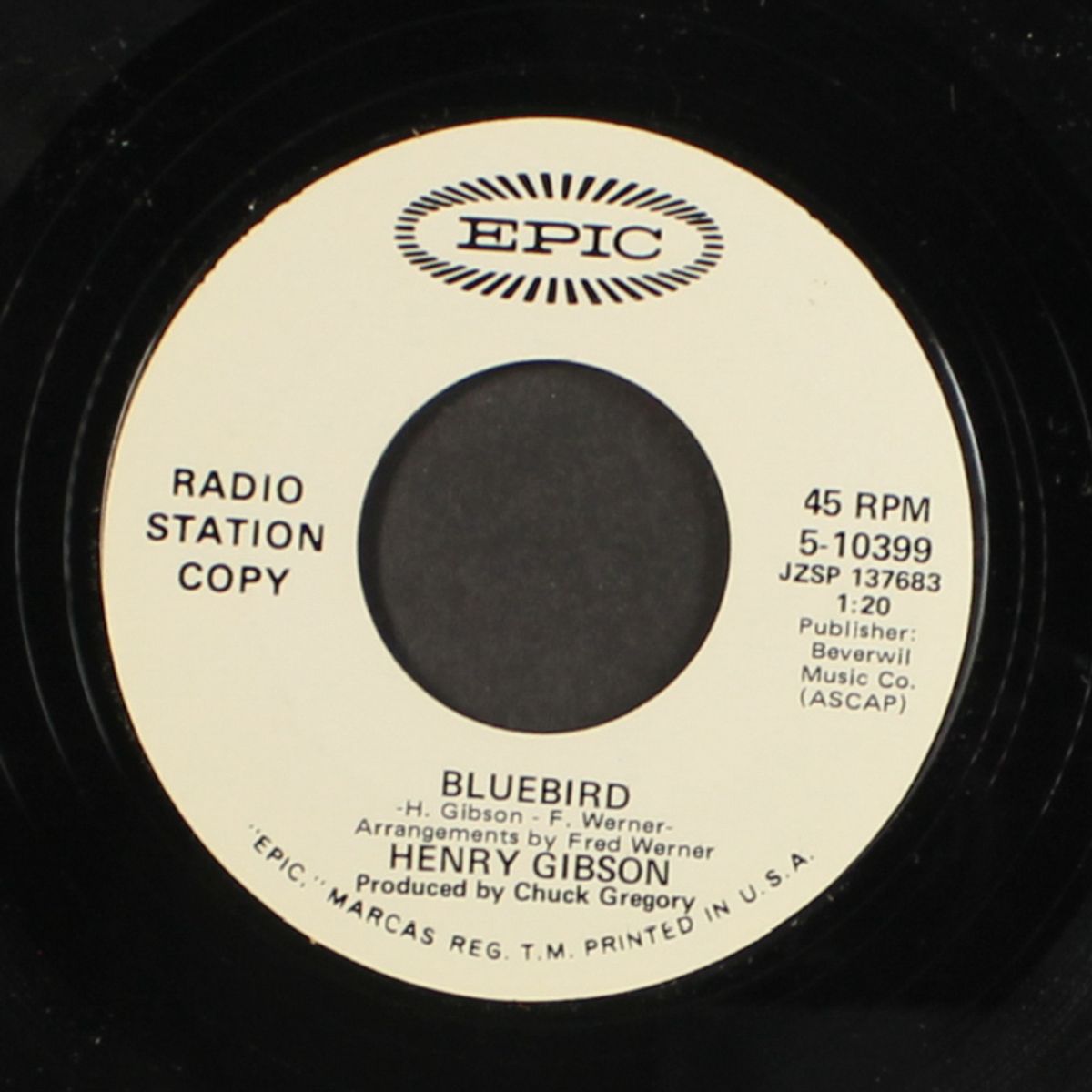 flowers / bluebird by HENRY GIBSON