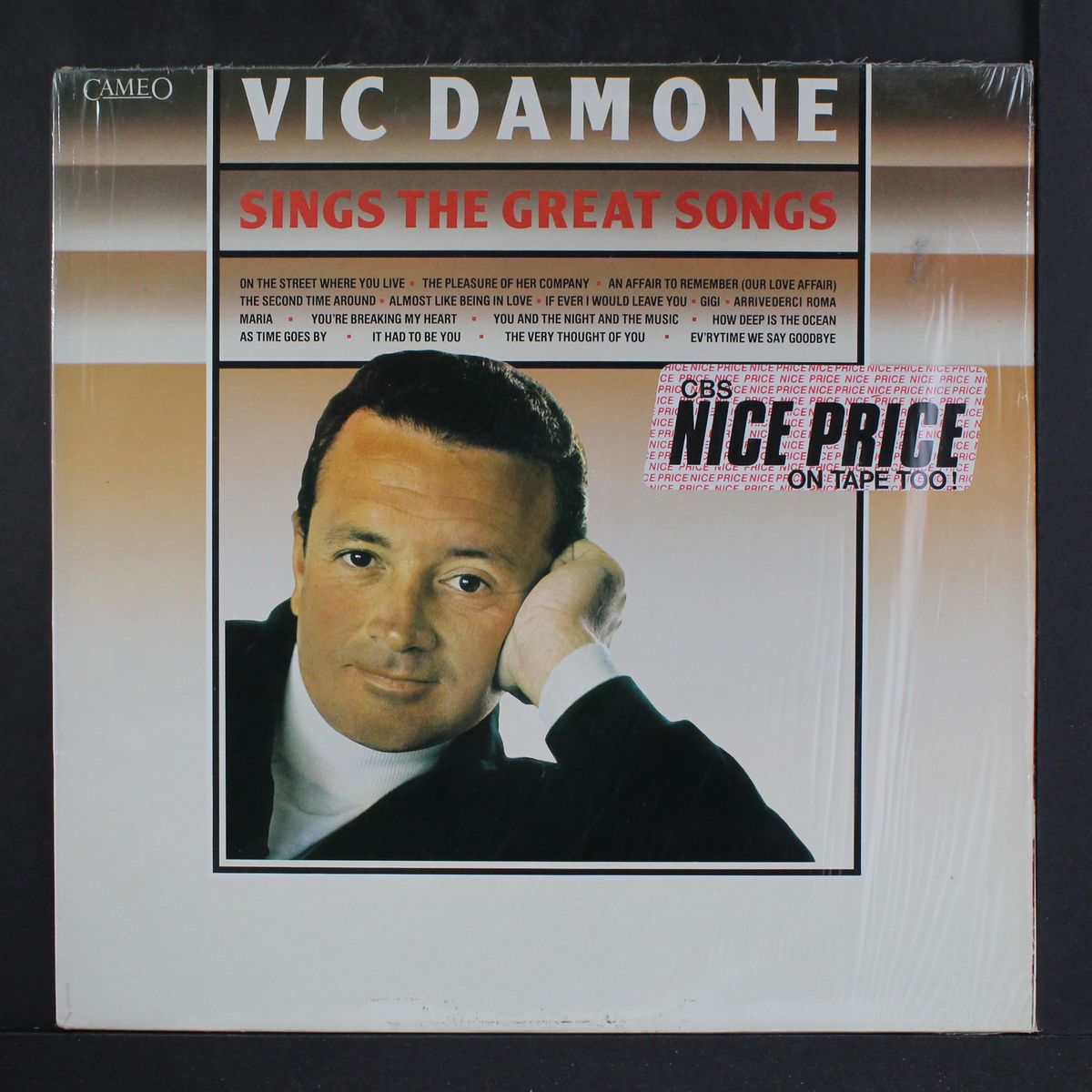 sings the great songs by VIC DAMONE