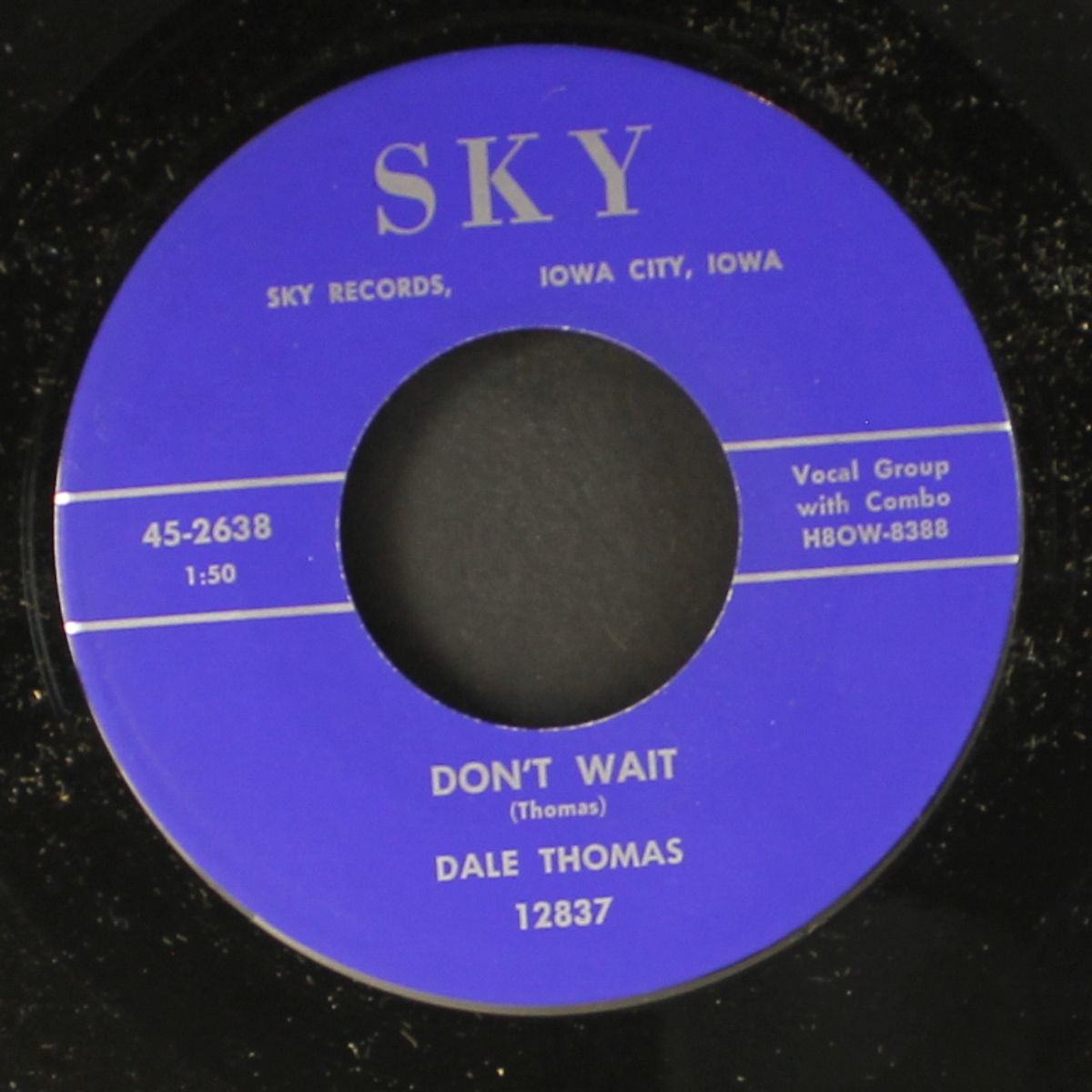 crocodile hop / don't wait by DALE THOMAS