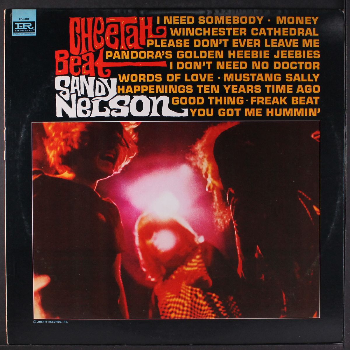 cheetah beat by SANDY NELSON