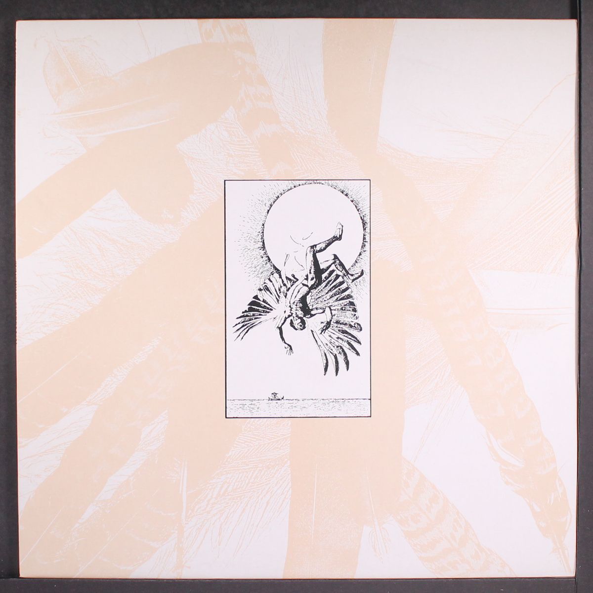 sunshine superman by SALVATION