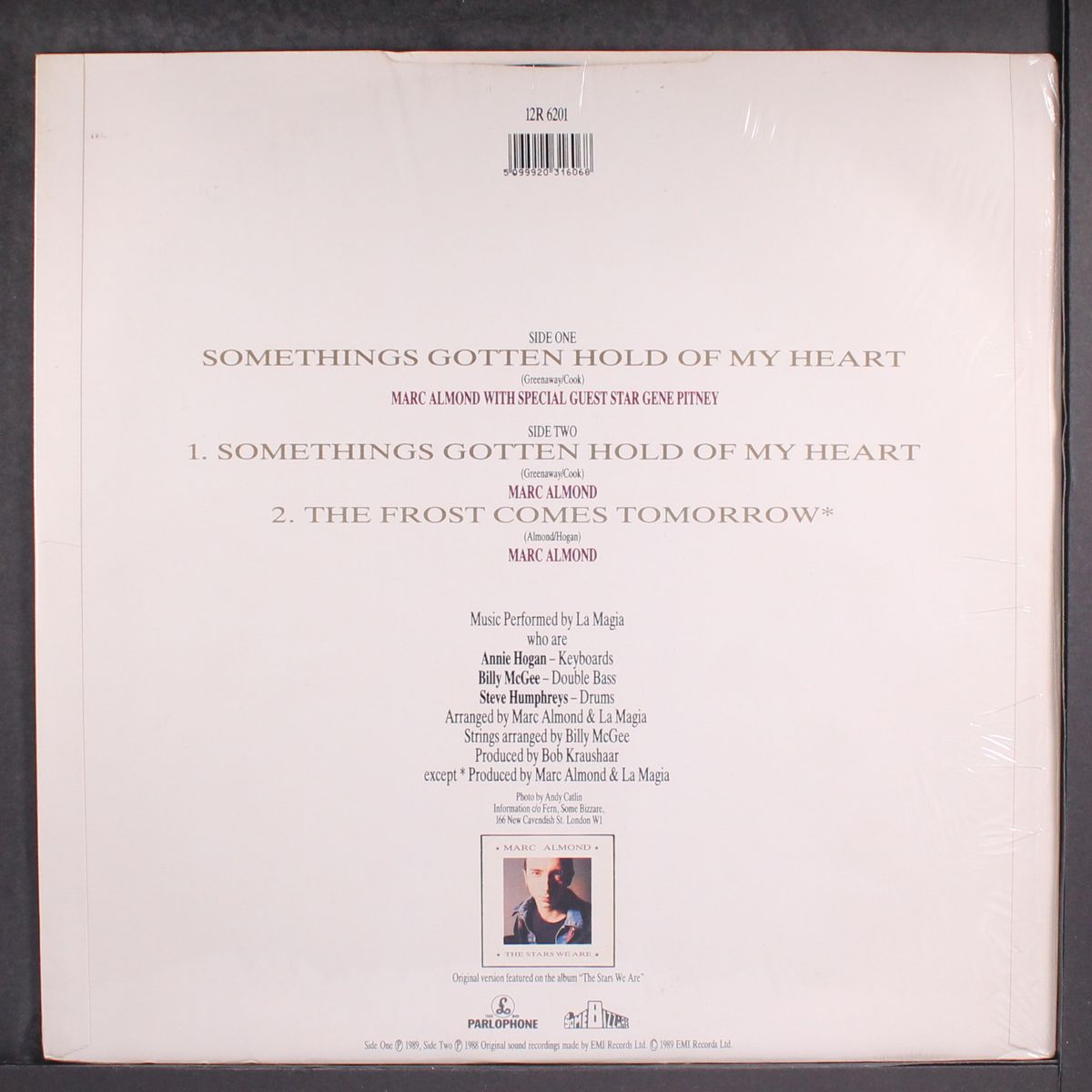 something's gotten hold of my heart by MARC ALMOND