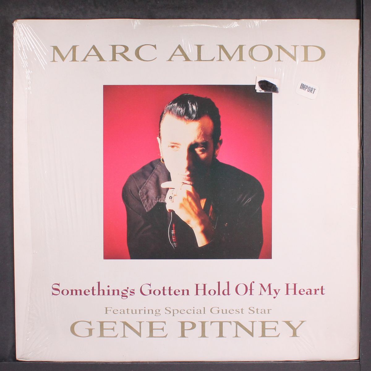 something's gotten hold of my heart by MARC ALMOND